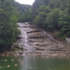 Meet your Posher, Alyshia